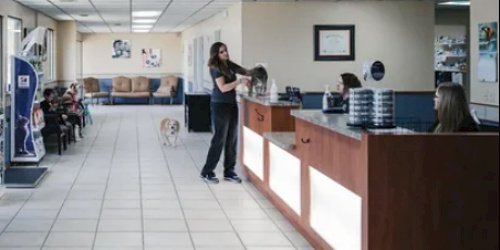 Emergency Vet in Oklahoma City, OK